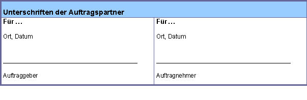 Vordruck-Abbildung: Projektauftrag